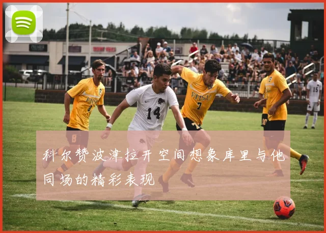 科尔赞波津拉开空间想象库里与他同场的精彩表现