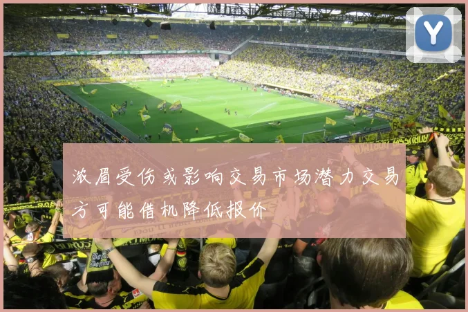浓眉受伤或影响交易市场潜力交易方可能借机降低报价