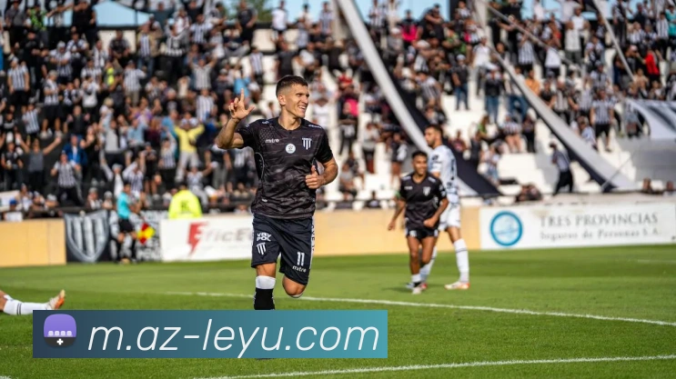 乐鱼体育平台生态图