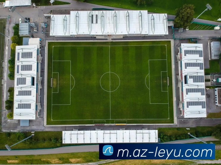 乐鱼体育APP 封面图